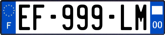 EF-999-LM