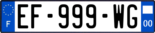 EF-999-WG