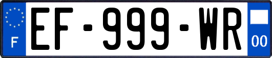 EF-999-WR