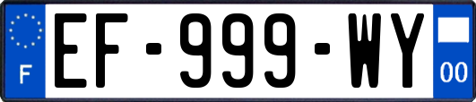 EF-999-WY