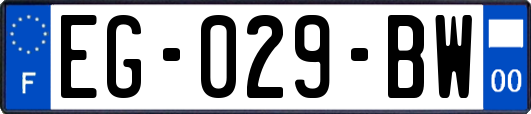 EG-029-BW