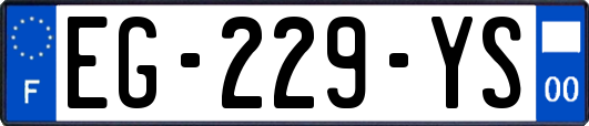 EG-229-YS