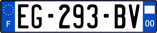 EG-293-BV