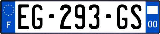 EG-293-GS