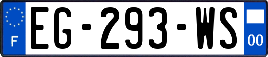 EG-293-WS
