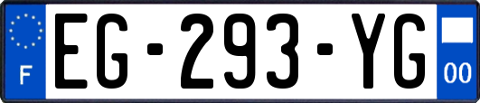 EG-293-YG