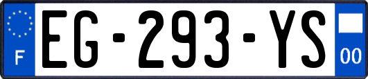 EG-293-YS
