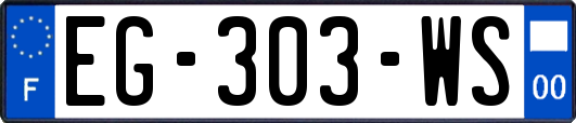 EG-303-WS