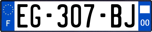 EG-307-BJ