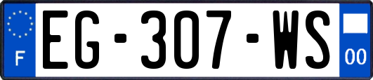 EG-307-WS
