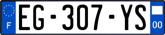 EG-307-YS