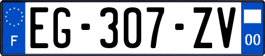 EG-307-ZV