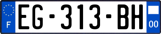 EG-313-BH