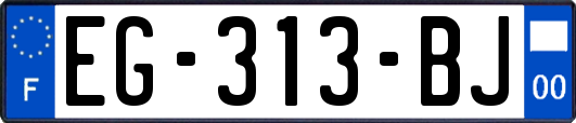 EG-313-BJ