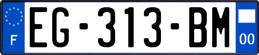 EG-313-BM