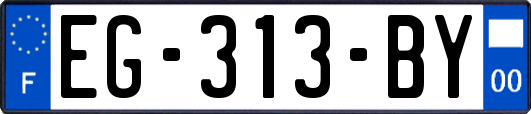 EG-313-BY