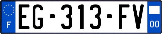 EG-313-FV