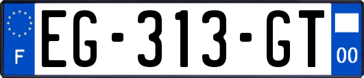 EG-313-GT