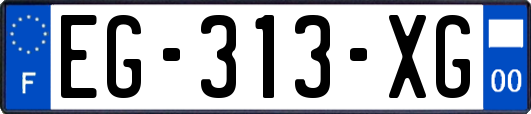 EG-313-XG