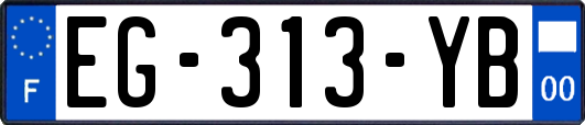 EG-313-YB