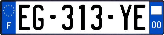 EG-313-YE