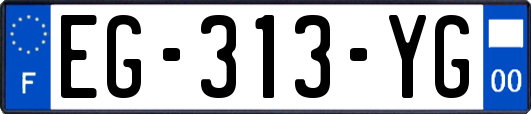 EG-313-YG
