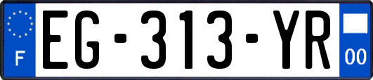 EG-313-YR
