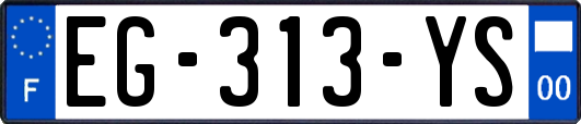 EG-313-YS