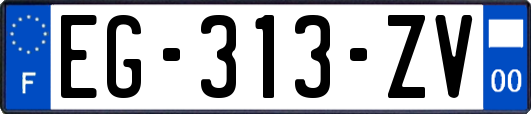 EG-313-ZV