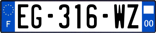 EG-316-WZ