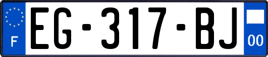 EG-317-BJ