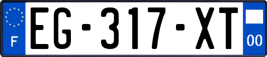 EG-317-XT