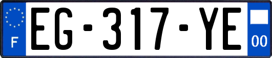 EG-317-YE