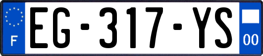 EG-317-YS