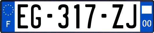 EG-317-ZJ