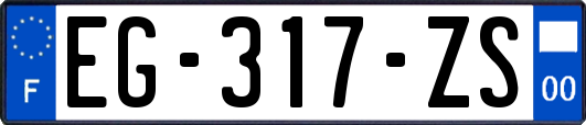 EG-317-ZS