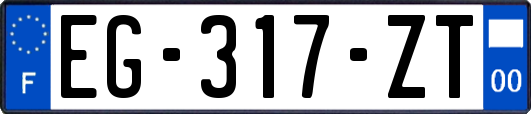 EG-317-ZT