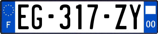 EG-317-ZY