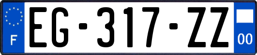 EG-317-ZZ