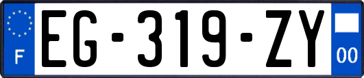EG-319-ZY