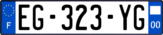 EG-323-YG