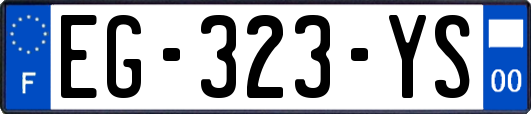 EG-323-YS