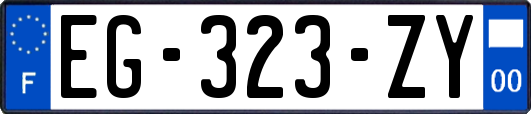 EG-323-ZY