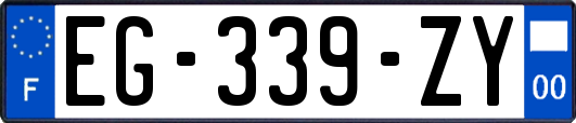 EG-339-ZY
