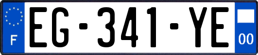 EG-341-YE