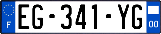 EG-341-YG