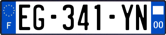 EG-341-YN