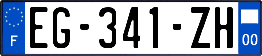 EG-341-ZH