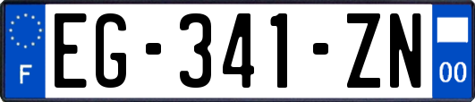 EG-341-ZN