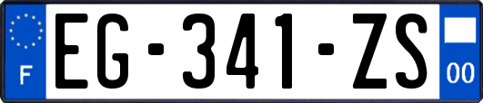 EG-341-ZS